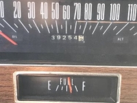 1970 Ford Galaxie for sale in Michigan (ID-163079)