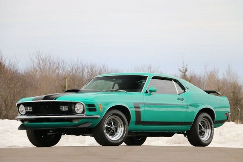1970 Ford Mustang for sale in Riverhead, New York (ID-96475)