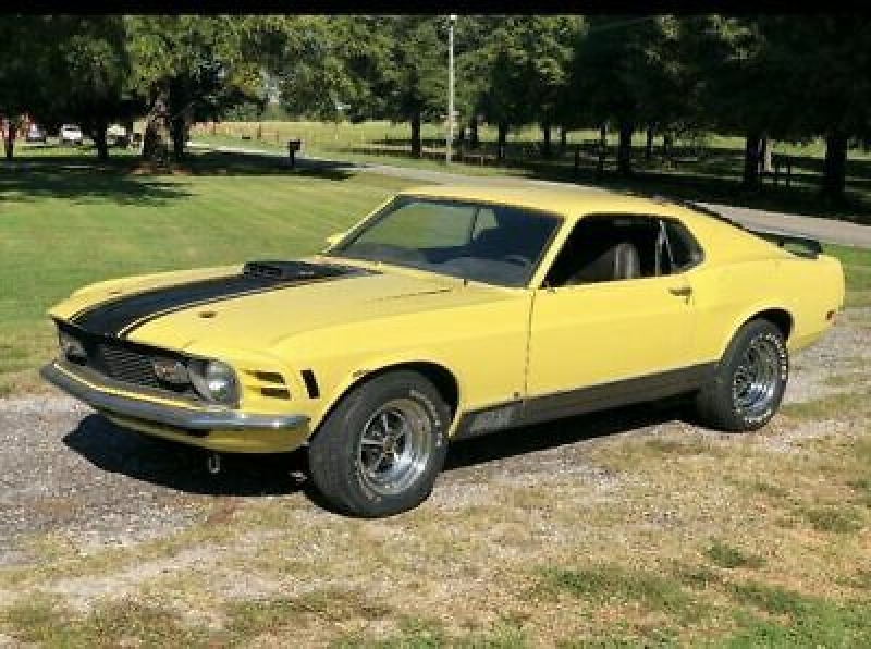 1970 Ford Mustang for sale in Michigan (ID-97877)
