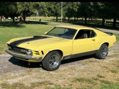 1970 Ford Mustang for sale