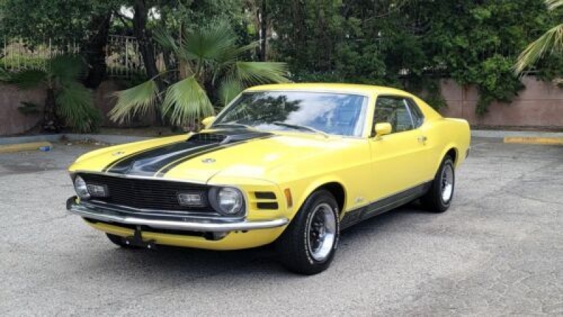 1970 Ford Mustang for sale in Michigan (ID-102548)