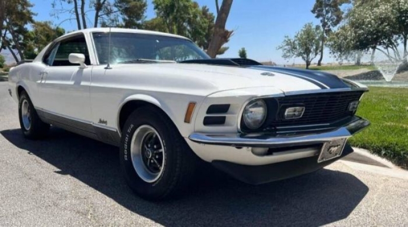 1970 Ford Mustang for sale in Michigan (ID-108036) 1970 Ford Mustang for sale in Michigan (ID-108036)