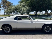 1970 Ford Mustang for sale in Michigan (ID-108036)