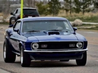 1970 Ford Mustang for sale in Michigan (ID-111564)