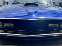 1970 Ford Mustang for sale in Michigan (ID-111564)