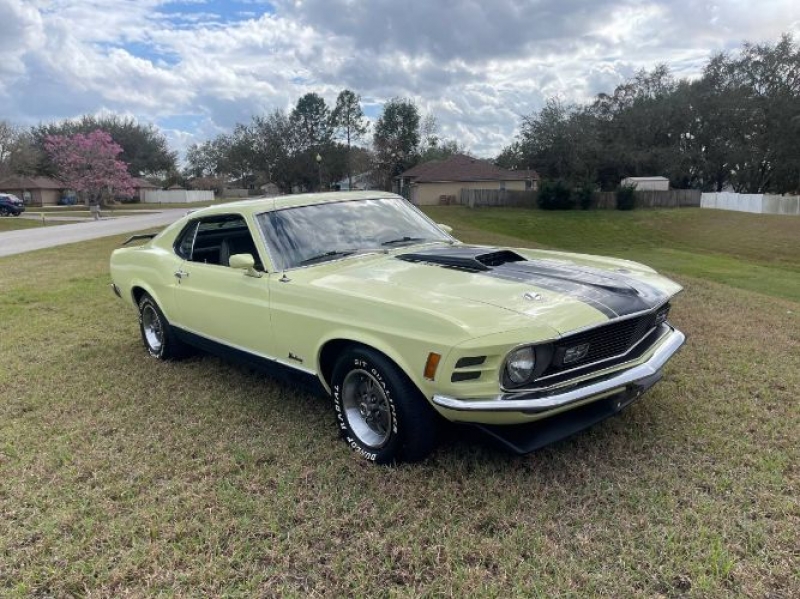 1970 Ford Mustang for sale in Michigan (ID-113539)