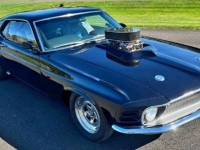 1970 Ford Mustang for sale in Michigan (ID-113775)