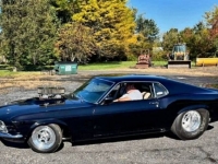 1970 Ford Mustang for sale in Michigan (ID-113775)