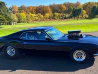 1970 Ford Mustang for sale in Michigan (ID-113775)