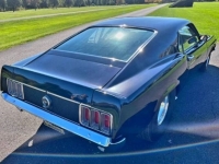 1970 Ford Mustang for sale in Michigan (ID-113775)