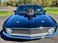 1970 Ford Mustang for sale in Michigan (ID-113775)