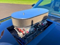 1970 Ford Mustang for sale in Michigan (ID-113775)