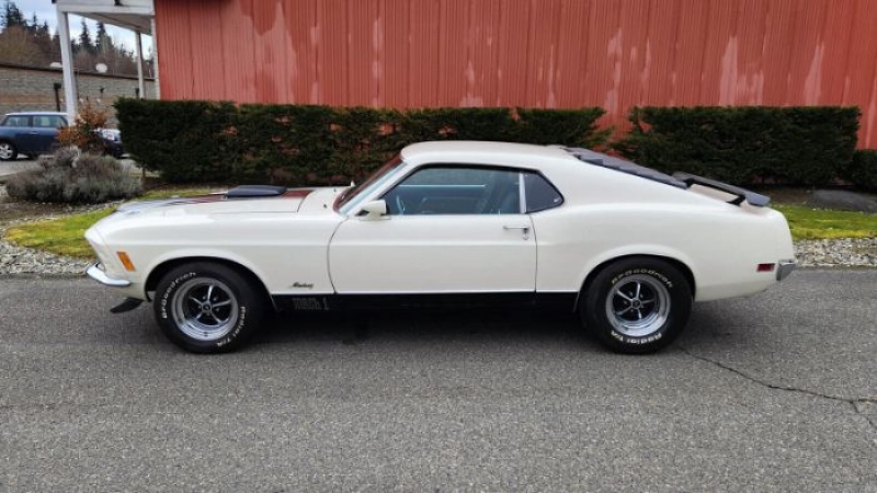 1970 Ford Mustang for sale in Michigan (ID-114242)