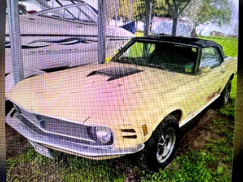 1970 Ford Mustang for sale in Michigan (ID-115793)