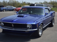 1970 Ford Mustang for sale in Michigan (ID-116574)