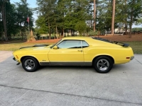 1970 Ford Mustang for sale in Michigan (ID-118310)