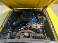 1970 Ford Mustang for sale in Michigan (ID-118310)