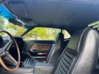 1970 Ford Mustang for sale in Michigan (ID-118310)