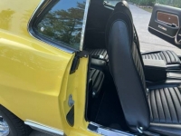 1970 Ford Mustang for sale in Michigan (ID-118310)