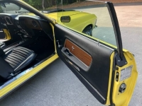 1970 Ford Mustang for sale in Michigan (ID-118310)