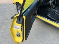 1970 Ford Mustang for sale in Michigan (ID-118310)