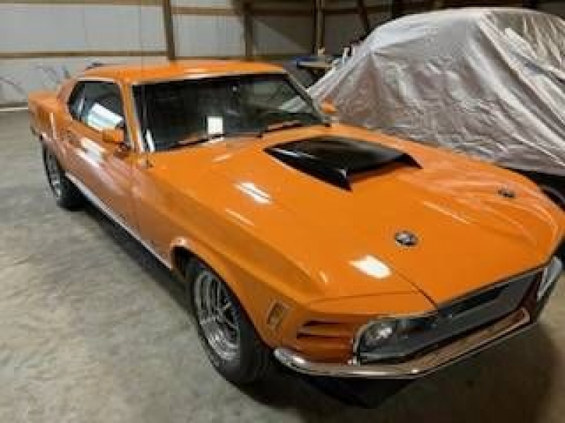 1970 Ford Mustang for sale in Michigan (ID-121830) 1970 Ford Mustang for sale in Michigan (ID-121830)