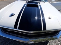 1970 Ford Mustang for sale in Michigan (ID-122252)