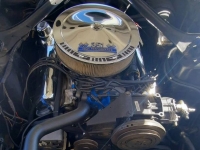 1970 Ford Mustang for sale in Michigan (ID-122252)