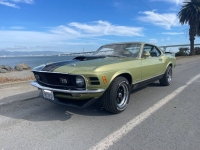 1970 Ford Mustang for sale in Michigan (ID-122288)