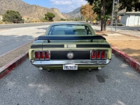 1970 Ford Mustang for sale in Michigan (ID-122288)