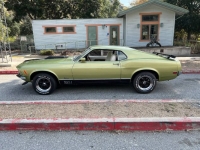 1970 Ford Mustang for sale in Michigan (ID-122288)