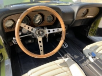 1970 Ford Mustang for sale in Michigan (ID-122288)