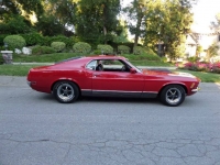 1970 Ford Mustang for sale in Michigan (ID-122724)