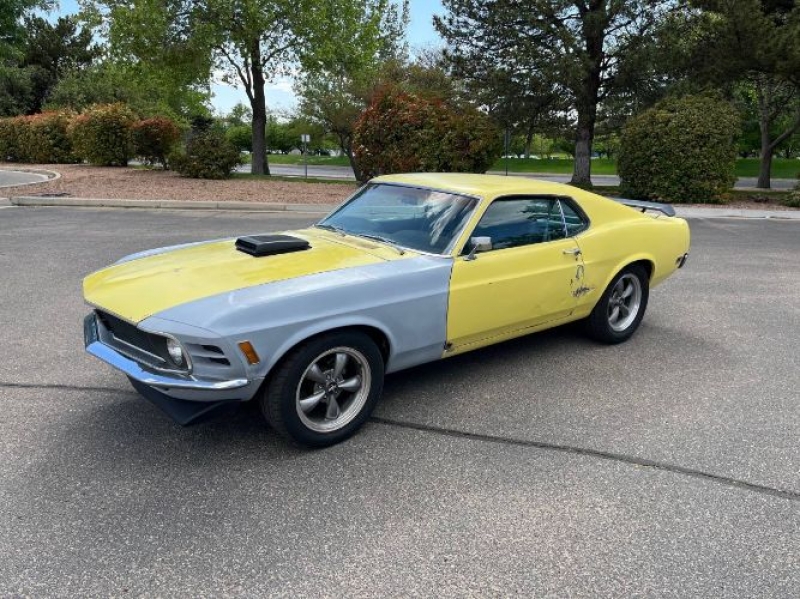 1970 Ford Mustang for sale in Michigan (ID-123204)
