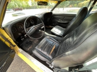 1970 Ford Mustang for sale in Michigan (ID-123204)