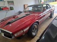 1970 Ford Mustang for sale in Michigan (ID-123377)