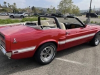 1970 Ford Mustang for sale in Michigan (ID-123377)