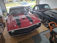 1970 Ford Mustang for sale in Michigan (ID-123377)