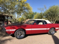 1970 Ford Mustang for sale in Michigan (ID-123377)