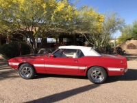 1970 Ford Mustang for sale in Michigan (ID-123377)