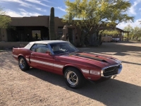 1970 Ford Mustang for sale in Michigan (ID-123377)