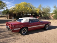 1970 Ford Mustang for sale in Michigan (ID-123377)