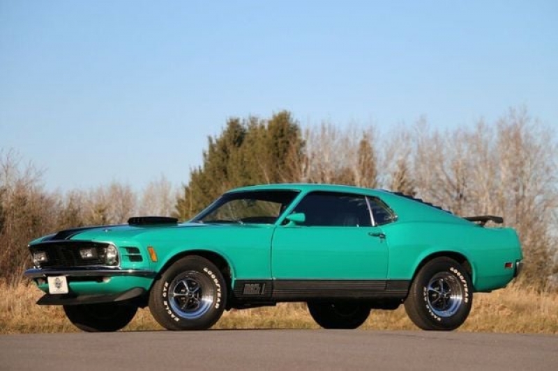 1970 Ford Mustang for sale in Riverhead, New York (ID-123564) 1970 Ford Mustang for sale in Riverhead, New York (ID-123564)