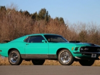1970 Ford Mustang for sale in Riverhead, New York (ID-123564)
