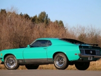 1970 Ford Mustang for sale in Riverhead, New York (ID-123564)