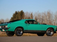1970 Ford Mustang for sale in Riverhead, New York (ID-123564)