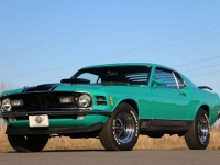 1970 Ford Mustang for sale in Riverhead, New York (ID-123564)
