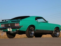 1970 Ford Mustang for sale in Riverhead, New York (ID-123564)