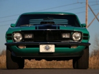 1970 Ford Mustang for sale in Riverhead, New York (ID-123564)