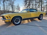 1970 Ford Mustang for sale in Michigan (ID-124011)